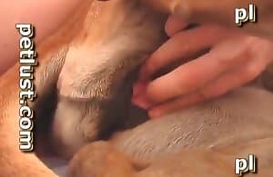 Anh chàng muốn hủy hoại con chó nóng bỏng này