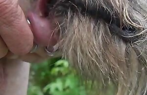 Quan hệ tình dục với chó chỉ là bằng miệng và còn hơn thế nữa