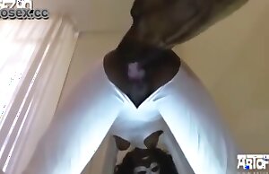 Zoo tình dục video cho thấy đáng kinh ngạc con chó chết tiệt một con chó cái nóng