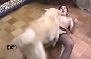 Đụ một con chó với người vợ mảnh khảnh đáng yêu của tôi